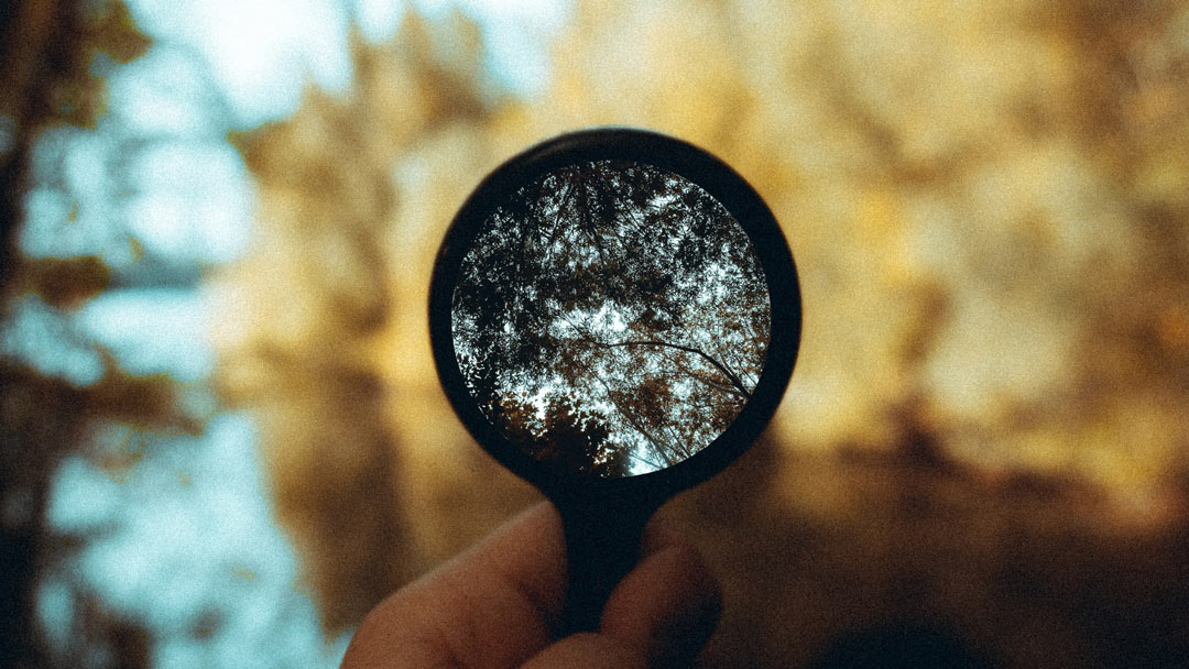 Magnifying Glass